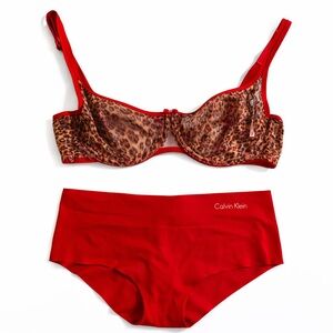 DKNY Red and Leopard Print Bra/Calvin Klein small Hipster bottoms